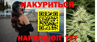 jwh Кингисепп