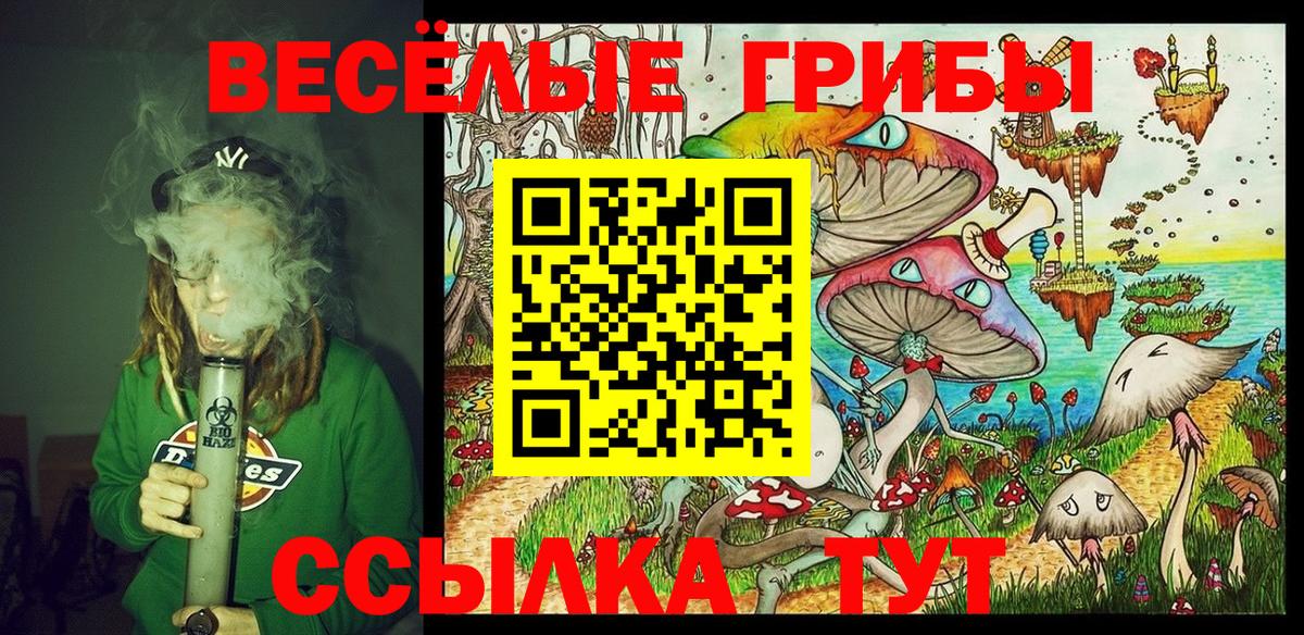 Галлюциногенные грибы Psilocybe Куйбышев