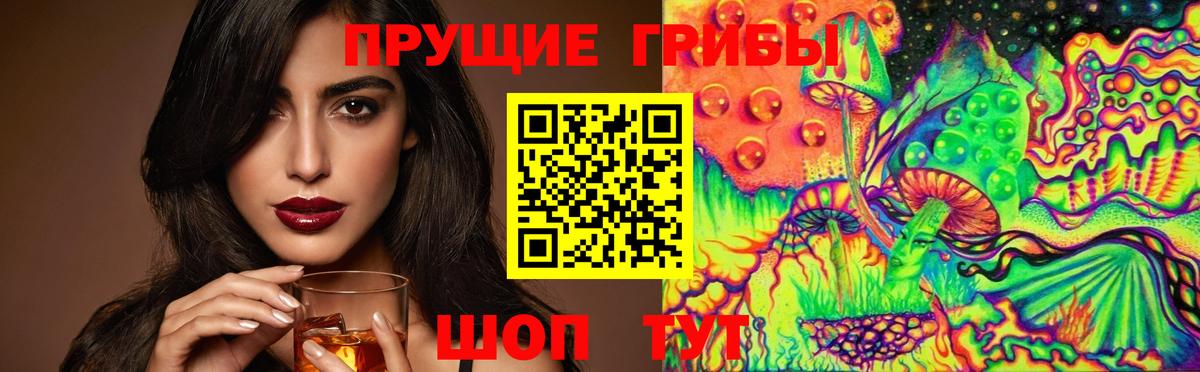 Куйбышев  Галлюциногенные грибы прущие грибы  Вход с VPN 